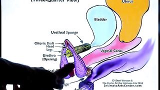 Squirting tutorial 2 by Mr PussyLicking, a must-see!