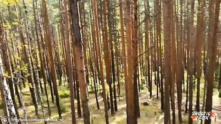 Brunette chick fucked hard and deep in the woods