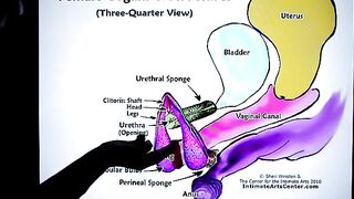 How to Squirt?! Explained FAST!!! by Mr PussyLicking, the ultimate cunilingus heaven!