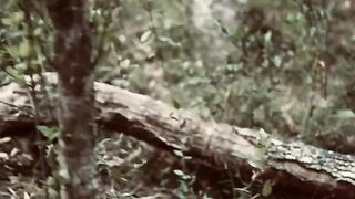 Lea's Wild Weekends1 - hardcore threesome action with a cinematic twist