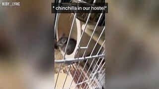A young couple has sex in a capsule hostel and then goes on a journey