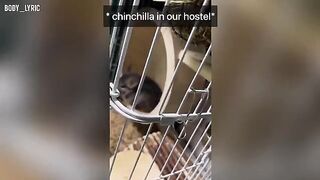 A young couple has sex in a capsule hostel and then goes on a journey