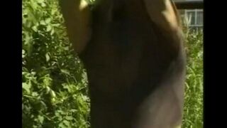 A man in the hayloft plays with his big cock using his hand