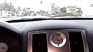 Nikki was at the back seat of the car and started to do a blowjob