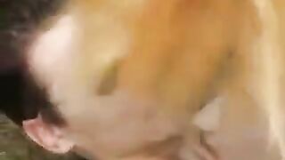 The girl was fucked in the park for her first time