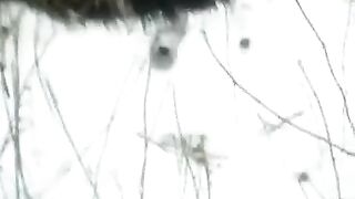 Babe fucked in snow on the street, winter season is not a barrier to sex