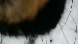 Babe fucked in snow on the street, winter season is not a barrier to sex
