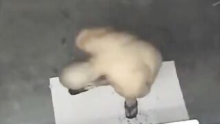 A man took shower and didn’t know that he was being filmed