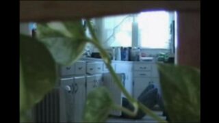 A married couple has no shame and walks naked in their apartment