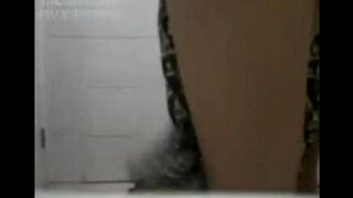 Asian beauties have sex while the guy is rolling his dick