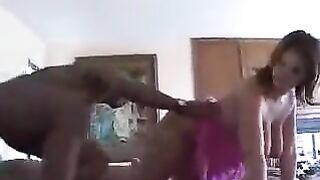 The wife is on a no-plot for the sake of a big cock