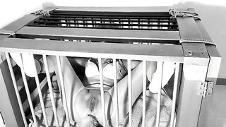 A day in a life of a Kitten: Ep.1 - Squirting on her tail