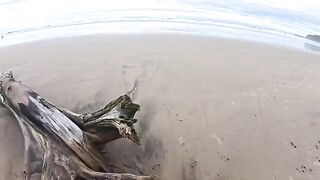 The beach is always humid – from the sea and because of the couple’s passion